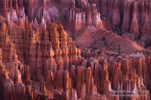 Bryce Canyon, Landscape, Photography, Southwest Canyonlands, Travel, USA, Utah