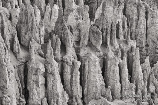 Black and White, Bryce Canyon, Capitol Reef, Landscape, Monochrome, Photography, Southwest Canyonlands, Travel, USA, Utah