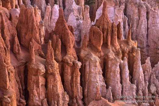 Bryce Canyon, Landscape, Photography, Southwest Canyonlands, Travel, USA, Utah