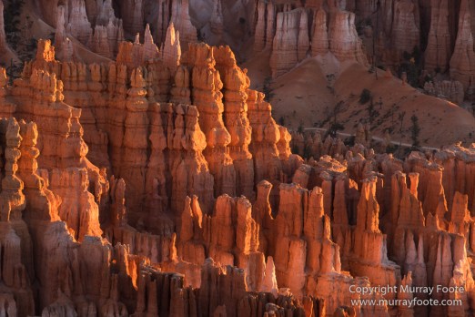 Bryce Canyon, Landscape, Photography, Southwest Canyonlands, Travel, USA, Utah
