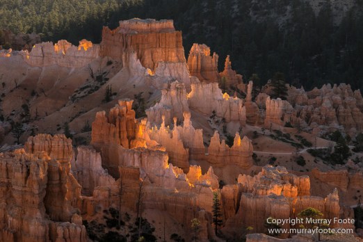 Bryce Canyon, Landscape, Photography, Southwest Canyonlands, Travel, USA, Utah