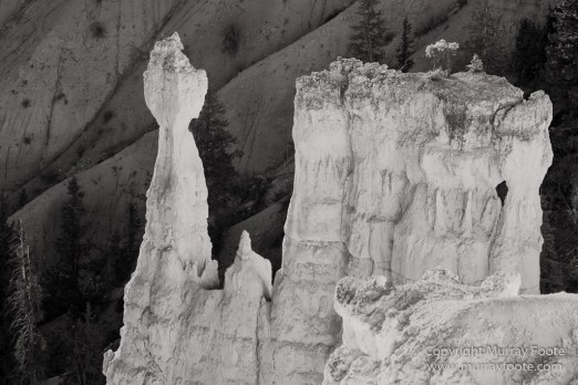 Black and White, Bryce Canyon, Capitol Reef, Landscape, Monochrome, Photography, Southwest Canyonlands, Travel, USA, Utah