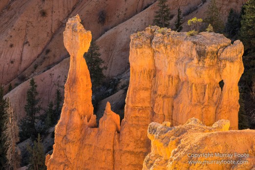 Bryce Canyon, Landscape, Photography, Southwest Canyonlands, Travel, USA, Utah