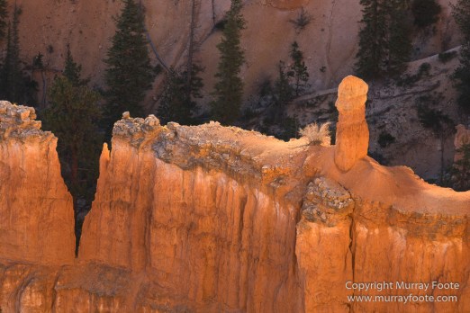 Bryce Canyon, Landscape, Photography, Southwest Canyonlands, Travel, USA, Utah