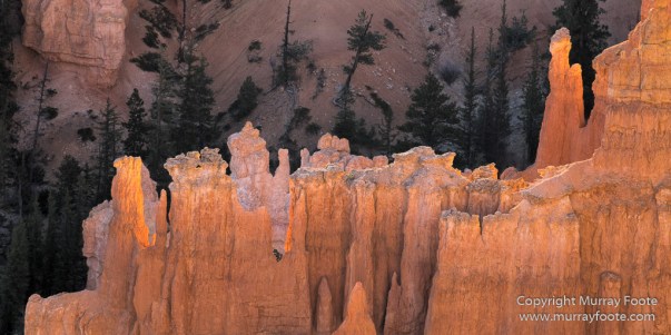 Bryce Canyon, Landscape, Photography, Southwest Canyonlands, Travel, USA, Utah
