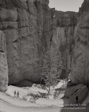 Black and White, Bryce Canyon, Capitol Reef, Landscape, Monochrome, Photography, Southwest Canyonlands, Travel, USA, Utah