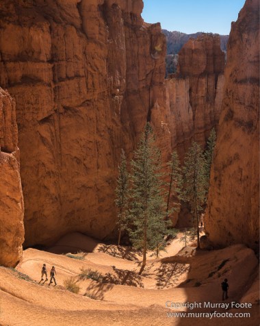 Bryce Canyon, Landscape, Photography, Southwest Canyonlands, Travel, USA, Utah