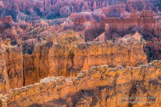 Bryce Canyon, Landscape, Photography, Southwest Canyonlands, Travel, USA, Utah
