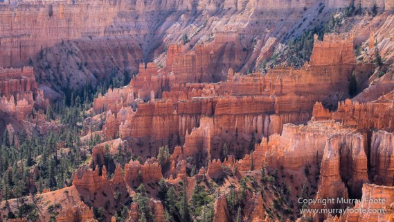 Bryce Canyon, Landscape, Photography, Southwest Canyonlands, Travel, USA, Utah