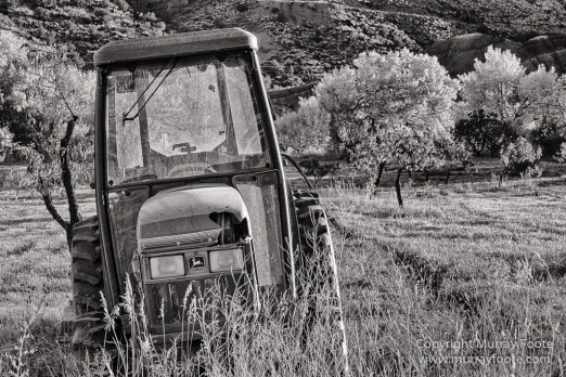 Black and White, Bryce Canyon, Capitol Reef, Landscape, Monochrome, Photography, Southwest Canyonlands, Travel, USA, Utah