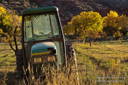 Capitol Reef, Landscape, Photography, Southwest Canyonlands, Travel, USA, Utah