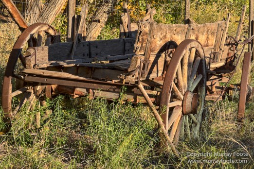 Capitol Reef, Landscape, Photography, Southwest Canyonlands, Travel, USA, Utah