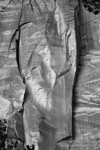 Black and White, Bryce Canyon, Capitol Reef, Landscape, Monochrome, Photography, Southwest Canyonlands, Travel, USA, Utah