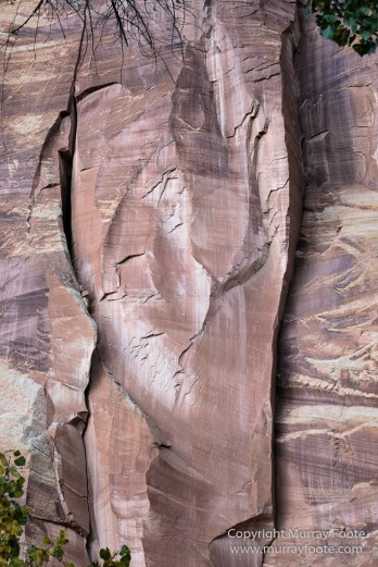 Capitol Reef, Landscape, Photography, Southwest Canyonlands, Travel, USA, Utah