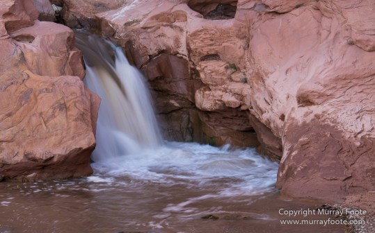 Capitol Reef, Landscape, Photography, Southwest Canyonlands, Travel, USA, Utah