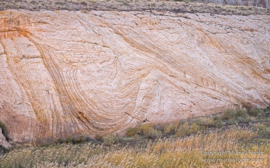 Capitol Reef, Landscape, Photography, Southwest Canyonlands, Travel, USA, Utah
