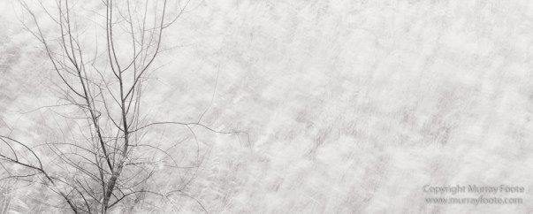 Black and White, Bryce Canyon, Capitol Reef, Landscape, Monochrome, Photography, Southwest Canyonlands, Travel, USA, Utah