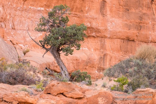 Arches National Park, Landscape, Park Avenue, Photography, Southwest Canyonlands, Travel, USA, Utah