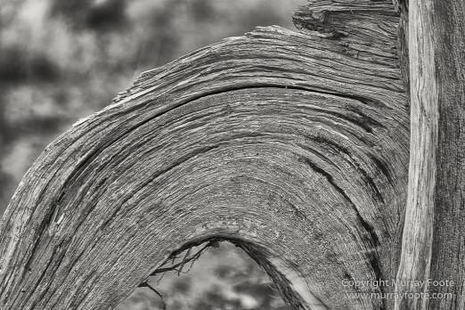 Arches National Park, Black and White, Infrared, Landscape, Park Avenue, Photography, Southwest Canyonlands, Travel, USA, Utah