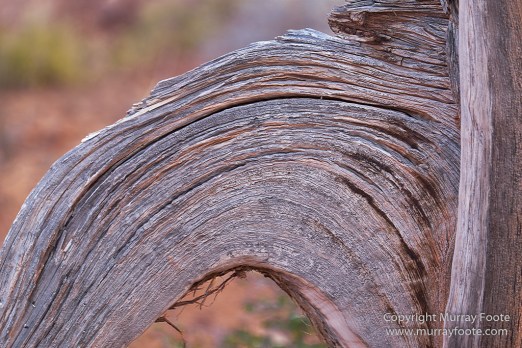 Arches National Park, Landscape, Park Avenue, Photography, Southwest Canyonlands, Travel, USA, Utah