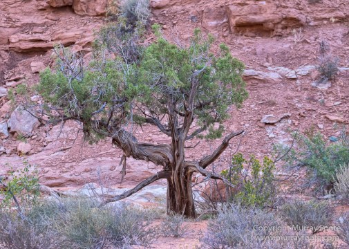 Arches National Park, Landscape, Park Avenue, Photography, Southwest Canyonlands, Travel, USA, Utah