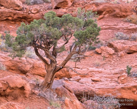 Arches National Park, Landscape, Park Avenue, Photography, Southwest Canyonlands, Travel, USA, Utah
