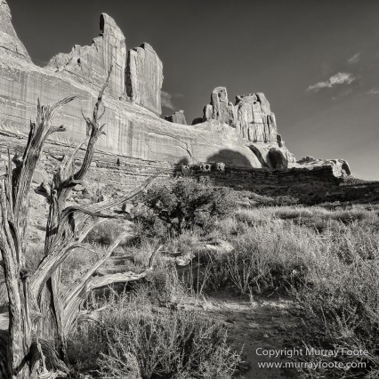 Arches National Park, Black and White, Infrared, Landscape, Park Avenue, Photography, Southwest Canyonlands, Travel, USA, Utah
