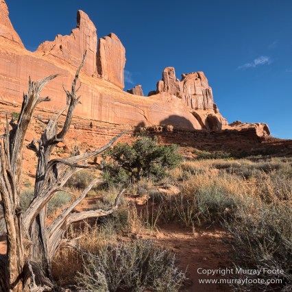 Arches National Park, Landscape, Park Avenue, Photography, Southwest Canyonlands, Travel, USA, Utah