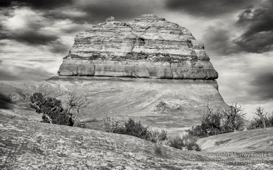 Arches National Park, Black and White, Delicate Arch, Landscape, Masa Arch, Monochrome, Photography, Southwest Canyonlands, Travel, USA, Utah