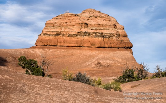 Arches National Park, Delicate Arch, Landscape, Masa Arch, Photography, Southwest Canyonlands, Travel, USA, Utah