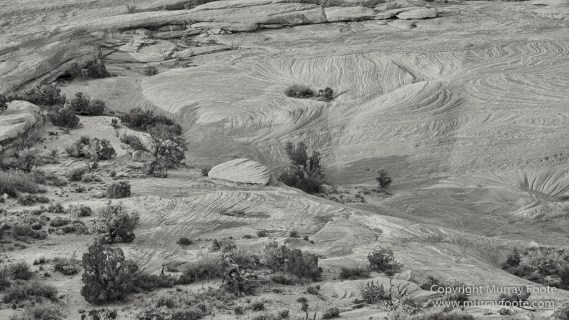 Arches National Park, Black and White, Delicate Arch, Landscape, Masa Arch, Monochrome, Photography, Southwest Canyonlands, Travel, USA, Utah