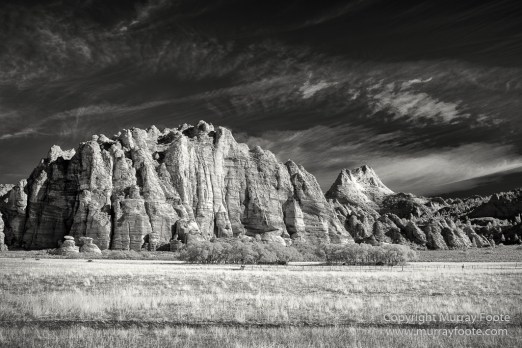 Black and White, Infrared, Landscape, Monochrome, Photography, Southwest Canyonlands, Travel, USA, Utah, Zion Canyon