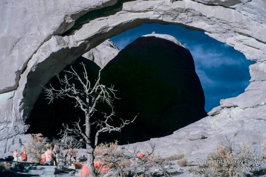 Arches National Park, Delicate Arch, Infrared, Landscape, Masa Arch, Park Avenue, Photography, Southwest Canyonlands, The Windows, Travel, USA, Utah