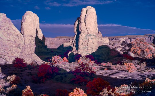 Arches National Park, Delicate Arch, Infrared, Landscape, Masa Arch, Park Avenue, Photography, Southwest Canyonlands, The Windows, Travel, USA, Utah