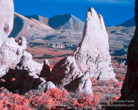 Arches National Park, Delicate Arch, Infrared, Landscape, Masa Arch, Park Avenue, Photography, Southwest Canyonlands, The Windows, Travel, USA, Utah