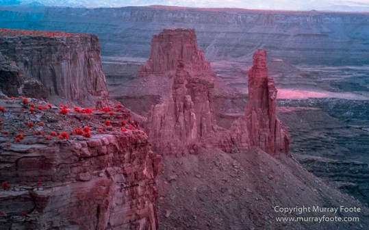 Arches National Park, Delicate Arch, Infrared, Landscape, Masa Arch, Park Avenue, Photography, Southwest Canyonlands, The Windows, Travel, USA, Utah