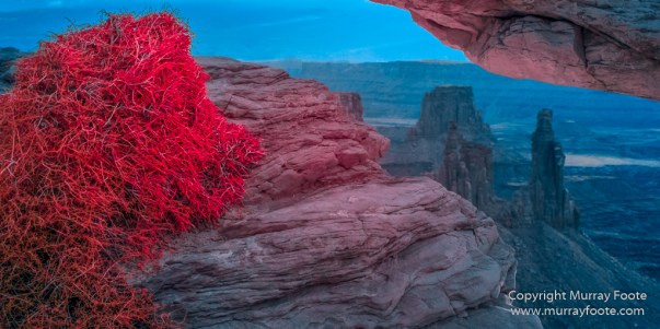 Arches National Park, Delicate Arch, Infrared, Landscape, Masa Arch, Park Avenue, Photography, Southwest Canyonlands, The Windows, Travel, USA, Utah