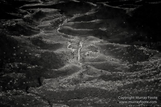 Arches National Park, Black and White, Delicate Arch, Landscape, Masa Arch, Monochrome, Photography, Southwest Canyonlands, Travel, USA, Utah