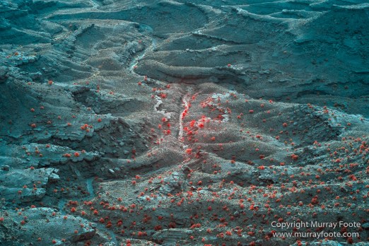 Arches National Park, Delicate Arch, Infrared, Landscape, Masa Arch, Park Avenue, Photography, Southwest Canyonlands, The Windows, Travel, USA, Utah