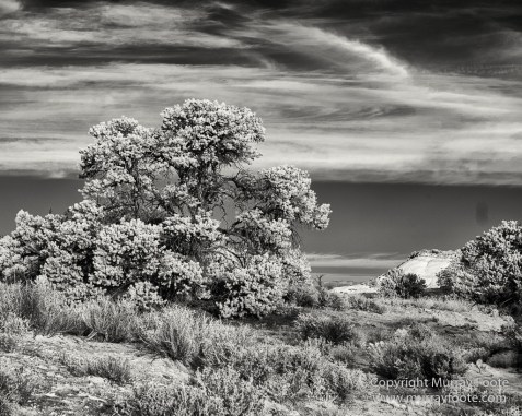 Arches National Park, Black and White, Delicate Arch, Landscape, Masa Arch, Monochrome, Photography, Southwest Canyonlands, Travel, USA, Utah