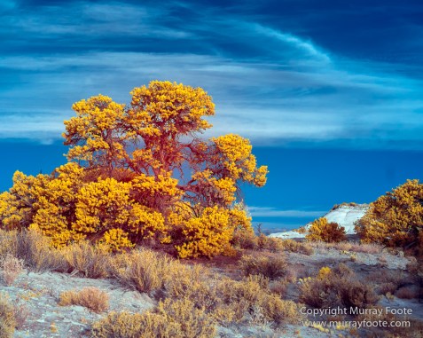 Arches National Park, Delicate Arch, Infrared, Landscape, Masa Arch, Park Avenue, Photography, Southwest Canyonlands, The Windows, Travel, USA, Utah