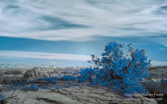 Arches National Park, Delicate Arch, Infrared, Landscape, Masa Arch, Park Avenue, Photography, Southwest Canyonlands, The Windows, Travel, USA, Utah