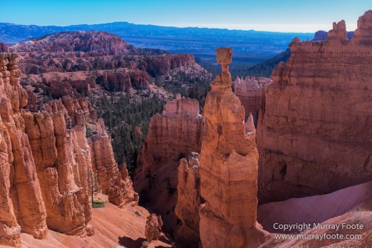 Bryce Canyon, Landscape, Photography, Southwest Canyonlands, Travel, USA, Utah