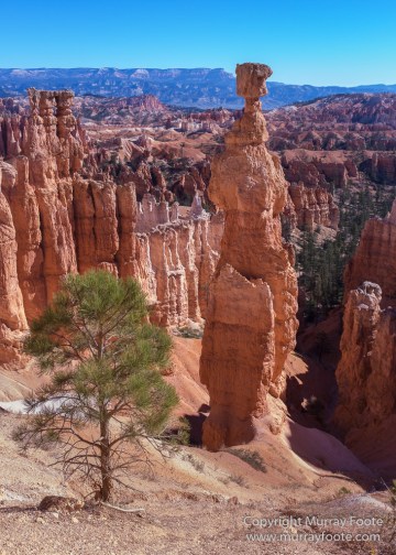 Bryce Canyon, Landscape, Photography, Southwest Canyonlands, Travel, USA, Utah
