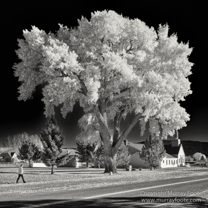 Black and White, Bryce Canyon, Capitol Reef, Landscape, Monochrome, Photography, Southwest Canyonlands, Travel, USA, Utah
