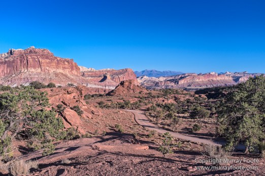 Capitol Reef, Landscape, Photography, Southwest Canyonlands, Travel, USA, Utah