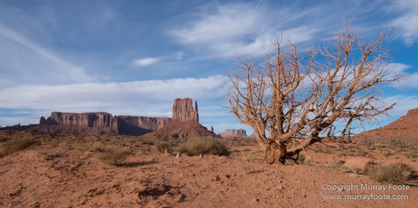 Arches National Park, Delicate Arch, Landscape, Masa Arch, Photography, Southwest Canyonlands, Travel, USA, Utah