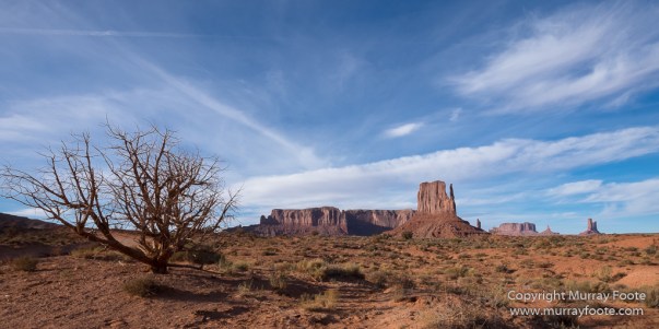 Arches National Park, Delicate Arch, Landscape, Masa Arch, Photography, Southwest Canyonlands, Travel, USA, Utah