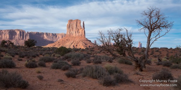 Arches National Park, Delicate Arch, Landscape, Masa Arch, Photography, Southwest Canyonlands, Travel, USA, Utah