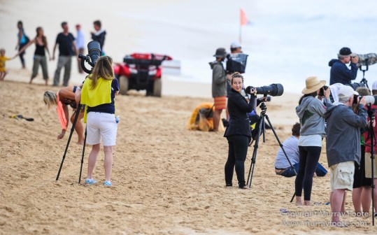 Hawaii, Oahu, Photography, Pipeline, seascape, Surfing, Travel
